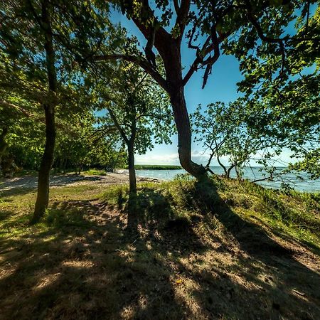 Traumhaff Kuestenchalets - Einzigartige Chalets An Der Ostsee. Ganz Aus Laerchenholz Mit Kamin Und Sauna Vogelsang-Warsin Экстерьер фото