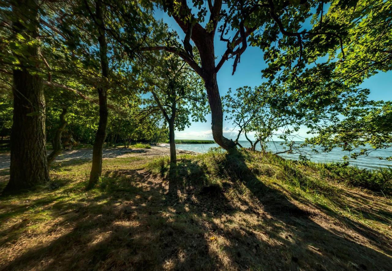 Traumhaff Kuestenchalets - Einzigartige Chalets An Der Ostsee. Ganz Aus Laerchenholz Mit Kamin Und Sauna Vogelsang-Warsin Экстерьер фото